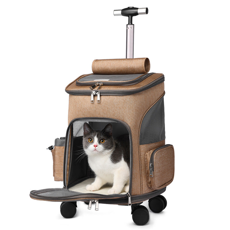 ce56bf188b502d93bba08c74fb1f3304